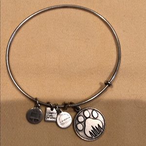 Alex and Ani bracelet